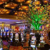 Раштуа казинода, евро мания казино, вильямстаун кентуки янындагы казинолар